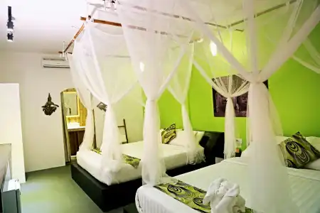 Green Leaf Boutique - 46