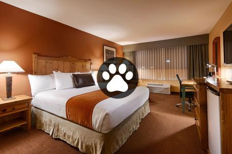 Best Western Plus Rio Grande Inn - 64