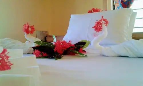 Milele Lodge - 22
