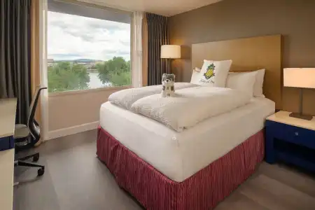 Staypineapple, Rose, Downtown Portland - 109