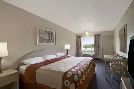 Super 8 By Wyndham Clearwater/Us Hwy 19 N - 20