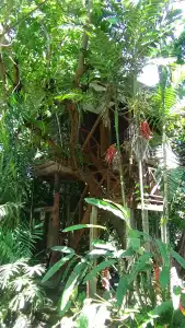 Tree Top River Huts - 50