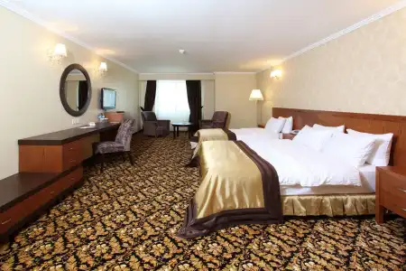 Arya Business Deluxe - 20