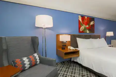 Hilton Garden Inn Dallas/Market Center - 34