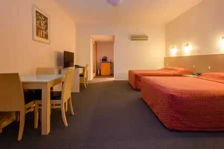 Mayfair Plaza Motel - 107