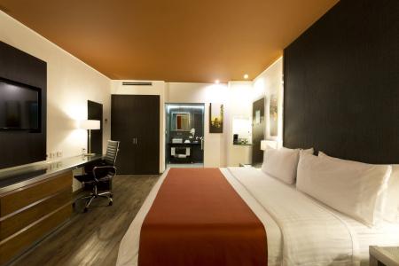 Holiday Inn Zona Centro by IHG - 36