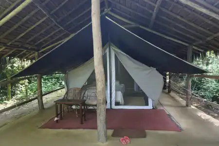 Tiger Tops Tharu Lodge - 34