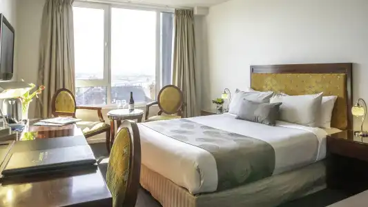Areca Launceston - 15
