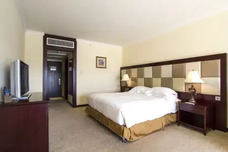 Grand Excelsior - 60