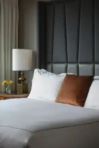 Viceroy Washington DC - 30