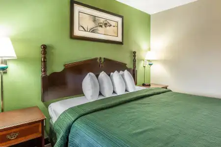 Quality Inn & Suites Macon North - 29