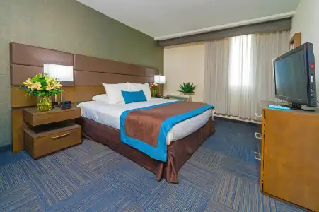 Best Western Plus Toronto Airport - 70