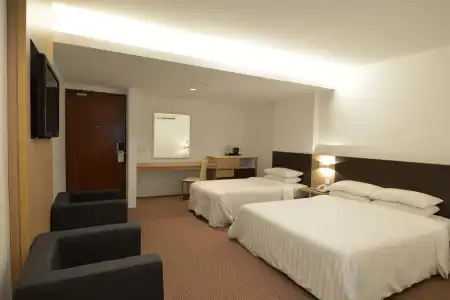 VIP (SG Clean Certified) - 52