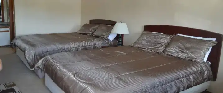 Mary's Motel - 28