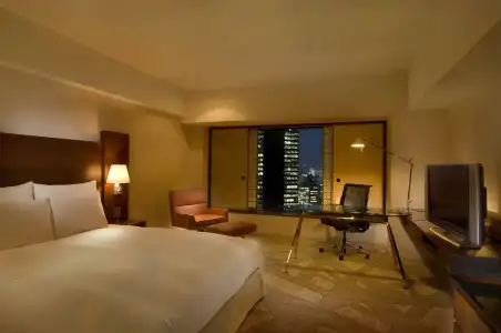 Hilton Tokyo - 36