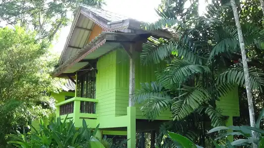 Tree Top River Huts - 51