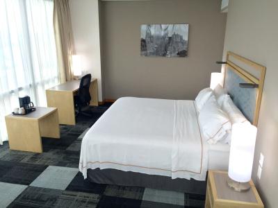 Holiday Inn Express Mexico Reforma by IHG - 3