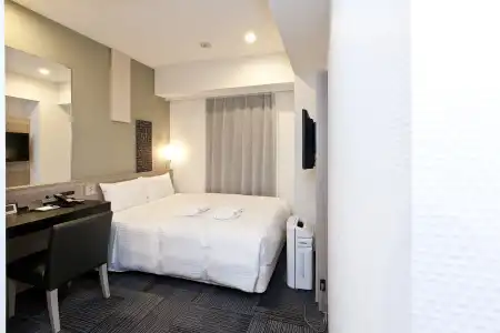 Sotetsu Fresa Inn Shimbashi Hibiyaguchi - 42