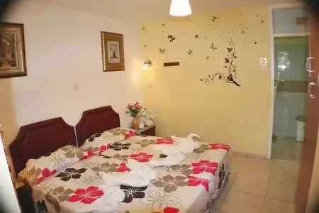 Apollonia Holiday Apartments - 98