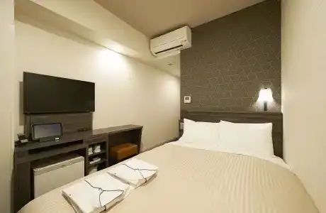 Sotetsu Fresa Inn Osaka-Shinsaibashi - 44
