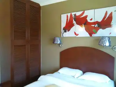 Casuarina - 32