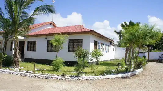 Nest Style Beach Zanzibar - 116
