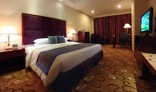 Wanyou Conifer Chongqing - 18