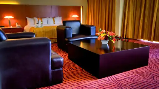 Holiday Inn Puebla Finsa by IHG - 82