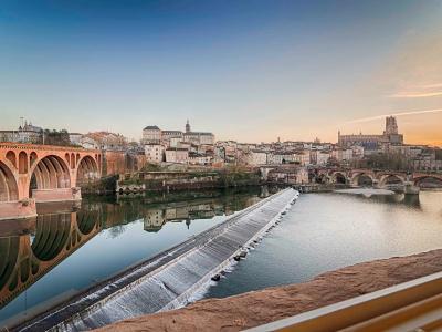 Mercure Albi Rives du Tarn - 10