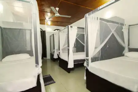 2in1 Kandy Hostel - 47