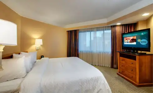 Embassy Suites by Hilton Crystal City National Airport - 91