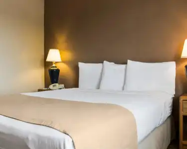 Bison Inn & Suites on University - 33