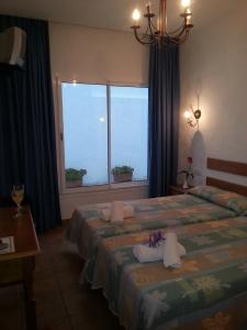 Oasis Atalaya - 50