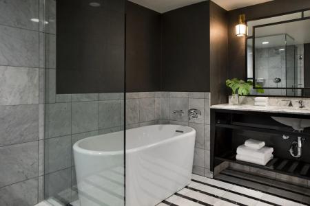 Viceroy Washington DC - 14