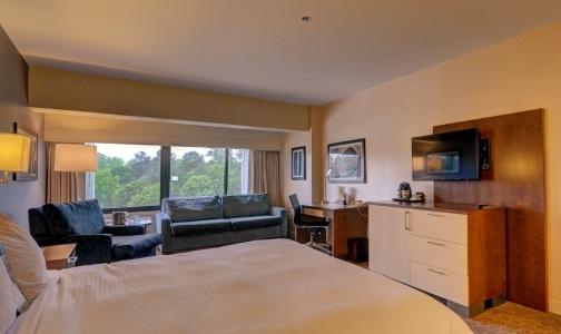 DoubleTree by Hilton Williamsburg - 93
