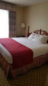 Spark by Hilton Orlando Universal Blvd - 41