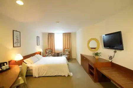VIP (SG Clean Certified) - 49