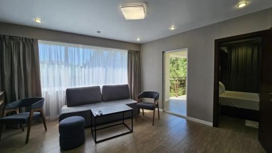 Бристоль - 41