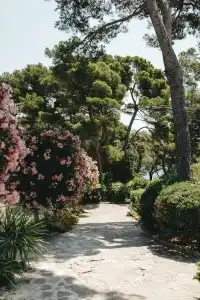 Le Provençal - 27