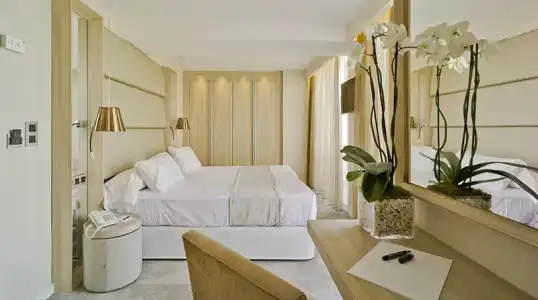 Don Pancho - Designed for Adults - 30