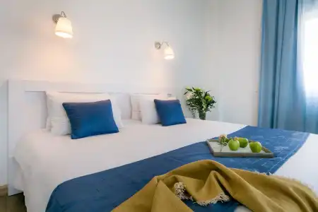 Mikes Kanarium City - 19