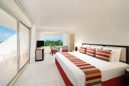 Oasis Palm - 1