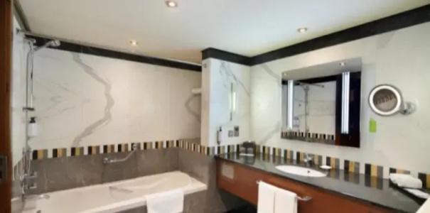Al Ain Rotana - 47