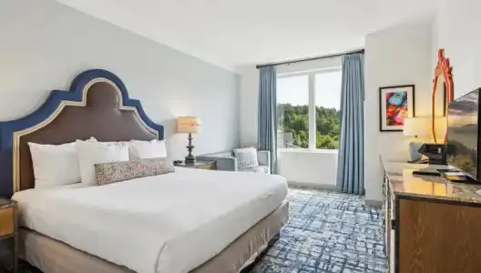 Dollywood's DreamMore Resort - 32