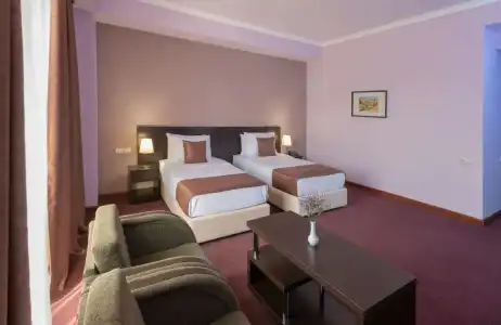 Ani Central Inn - 60