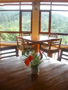 Alta Vista - 18