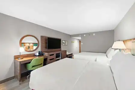 Hampton Inn by Hilton Los Angeles Airport - 7