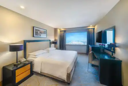 Hyatt Regency Dubai - 57