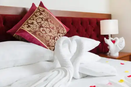 Apus - 83
