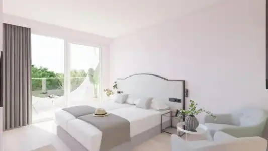Vibra Palma Cactus - 3